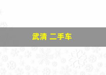 武清 二手车